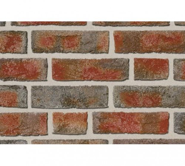 Плитка клинкерная FORMBACK buntgeflammt NF 240x14x71, тм. ROBEN